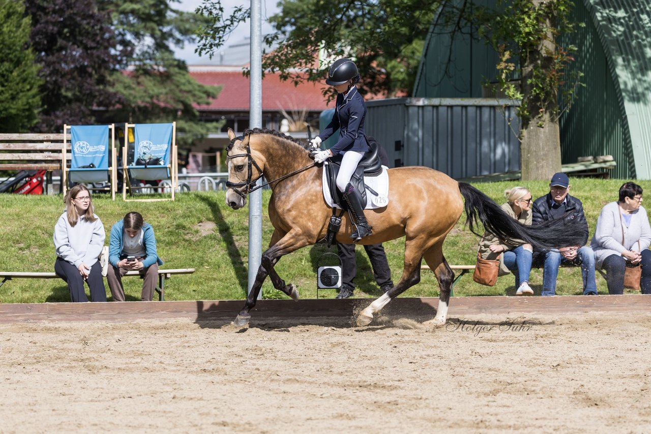 Bild 413 - Pony Akademie Turnier